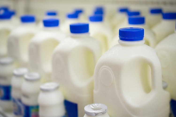 Milk & Dairy
